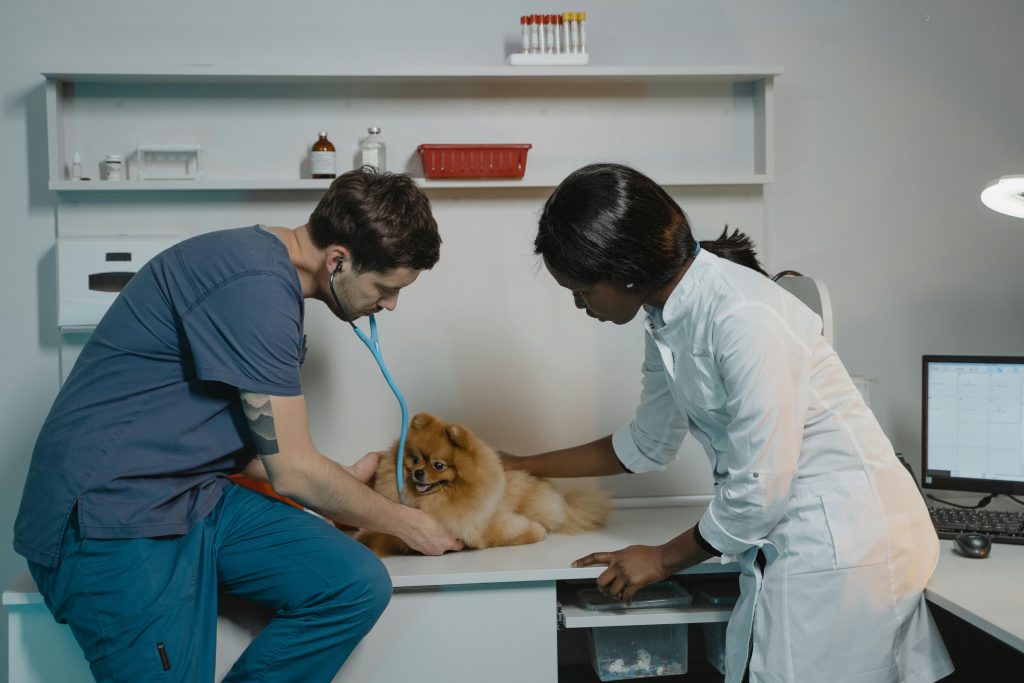 Patologia na Medicina Veterinária