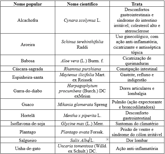 plantas medicinais